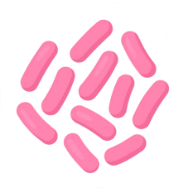 Lactobacillus acidophilus