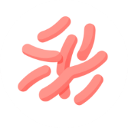 Lactobacillus rhamnosus