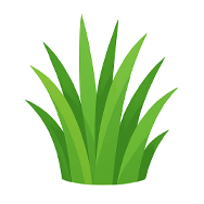 Organic Grass-Fed Milk