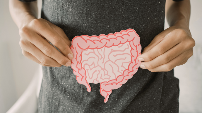 Probiotics and Good Bacteria: Keys to a Healthier Gut Health