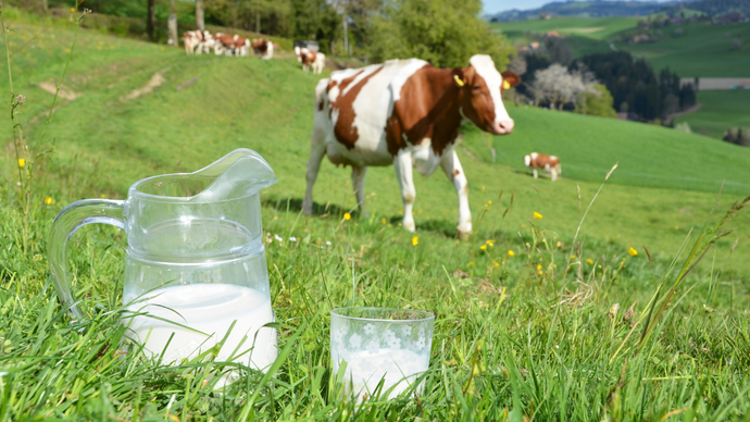 Is Grass-Fed Milk a Smart Choice for Growing Kids?