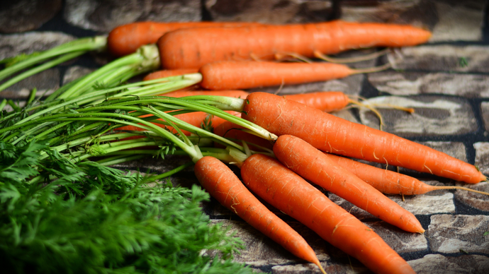 How Organic Carrot Root Extract May Naturally Support Kids’ Appetite