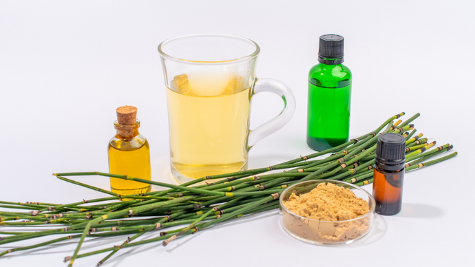 Horsetail Extract for Toddler Growth: Natural Support for Bones & More