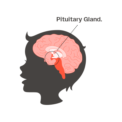 Growth hormone