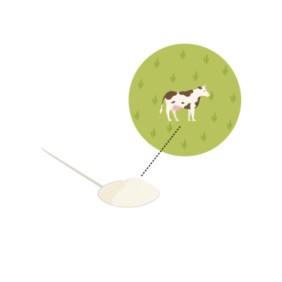milk powder