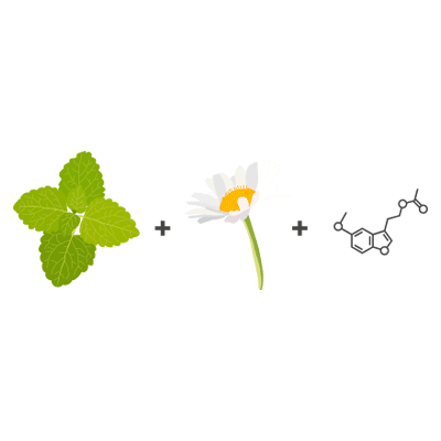Our sleep tincture is specially made for children, with Lemon Balm, Chamomile, and a gentle amount of Melatonin. These ingredients help promote relaxation, calmness, and restful sleep while supporting the body's natural way of handling stress.*