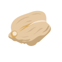 Phosporus